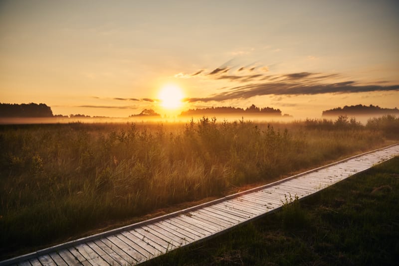 Poleski Park Narodowy – ścieżka dydaktyczna „Obóz Powstańczy” - Lipniak