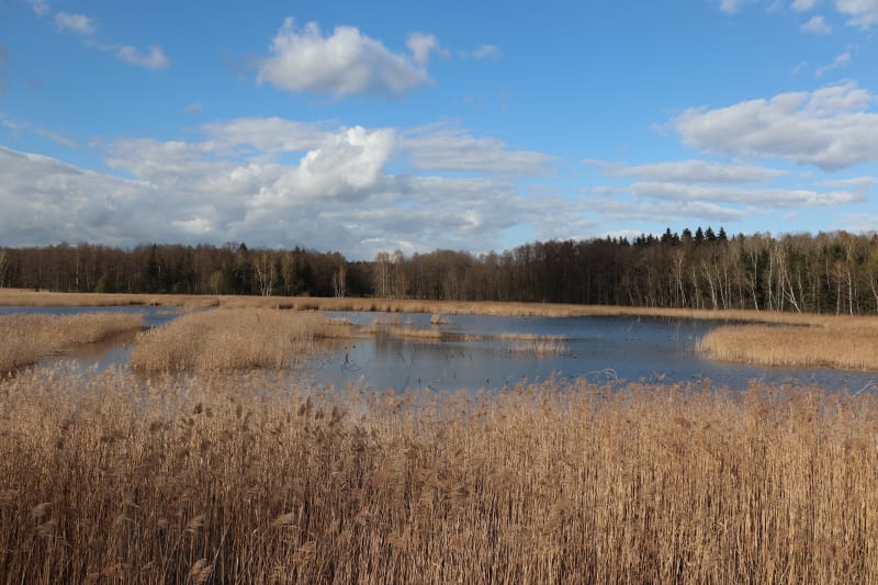 Poznaj bliżej Poleski Park Narodowy. Ścieżki turystyczne i przyrodnicze - Pieszowola PGR
