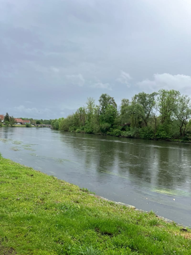 Balade autour de La Wantzenau - La Wantzenau