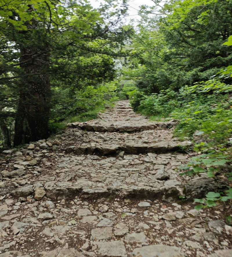 Aller-retour au col du Saint-Pilon dans la Sainte-Baume - Plan-d'Aups-Sainte-Baume