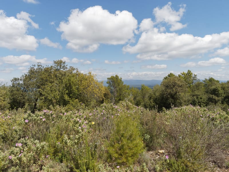 Boucle de Calamel - Tourrette-Levens