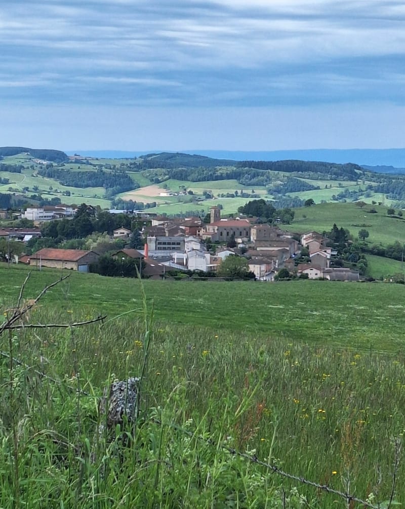 Prendre de la  hauteur entre forêts et prairies - Thizy-les-Bourgs