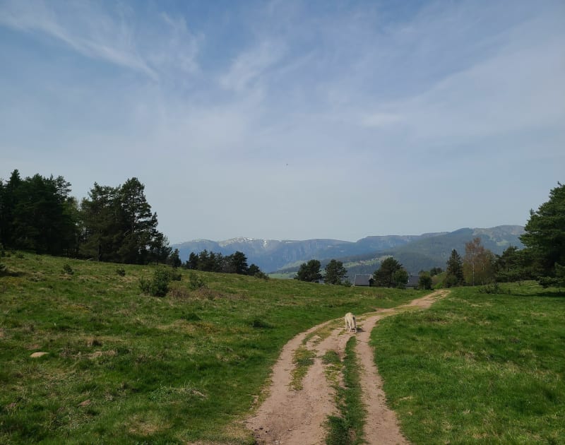 Glasborn et Wettstei - Soultzeren