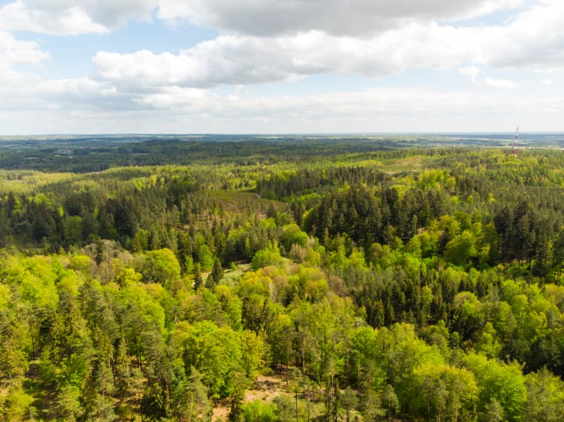Kaszubski Park Krajobrazowy: wędrówka przez Szwajcarię Kaszubską - Chmielno