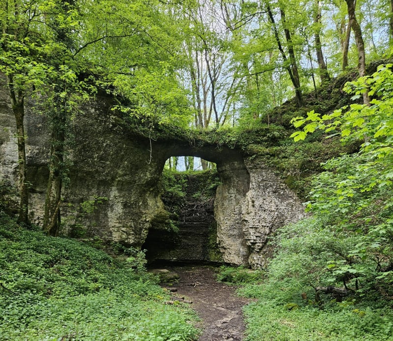 Balade entre Damassine et le Pont Sarrazin - Vandoncourt