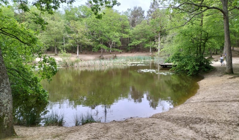 La Mare aux Biches et l'usine de Navarre - Évreux