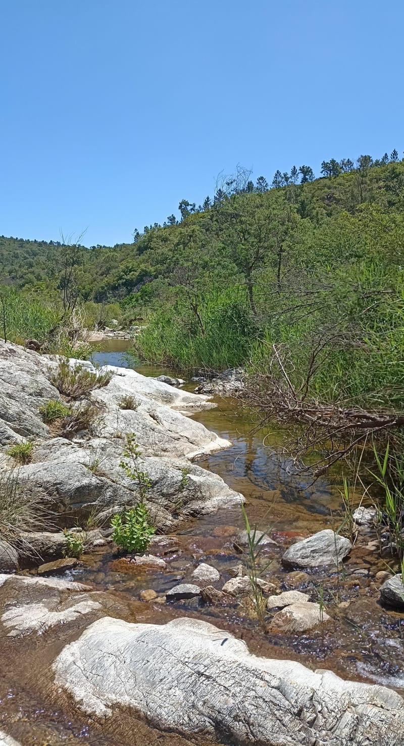Tour autour de la domaine de la bergerie - Roquebrune-sur-Argens