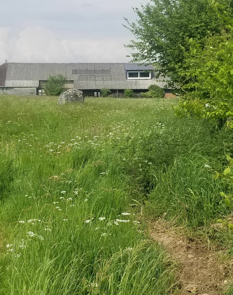 Randonnée à Montchauvet par Plumaudière - Souleuvre en Bocage
