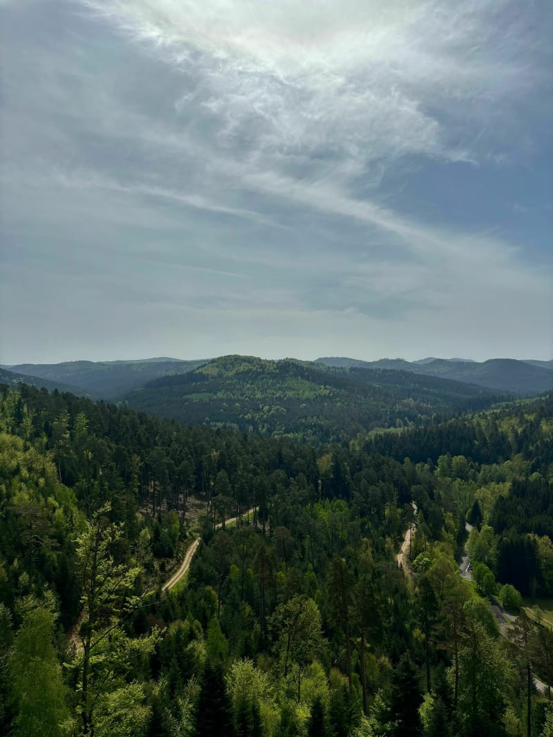 Trail Walscheid par le Hohwalsch et la Roche du Diable - Walscheid