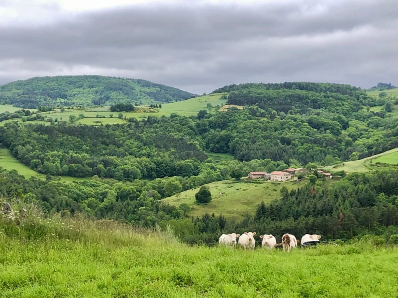 Grand tour de Saint-Bonnet-le-Courreau - Saint-Bonnet-le-Courreau