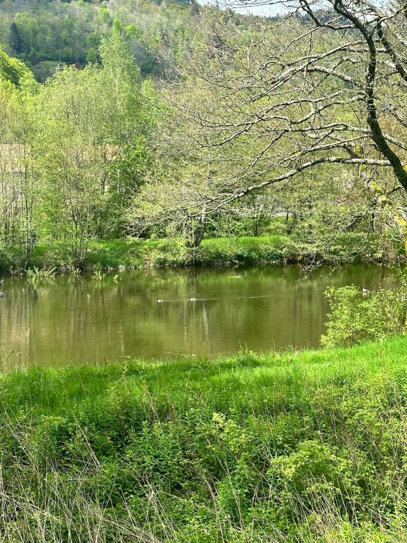 Aller-retour depuis Bussang - Bussang