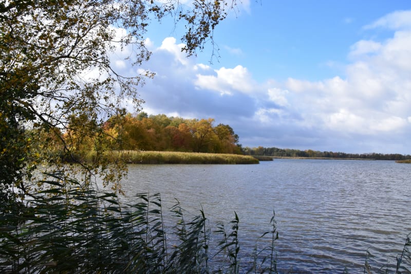 Dolina Karpia – poznaj „Stolicę Karpia” - Zator