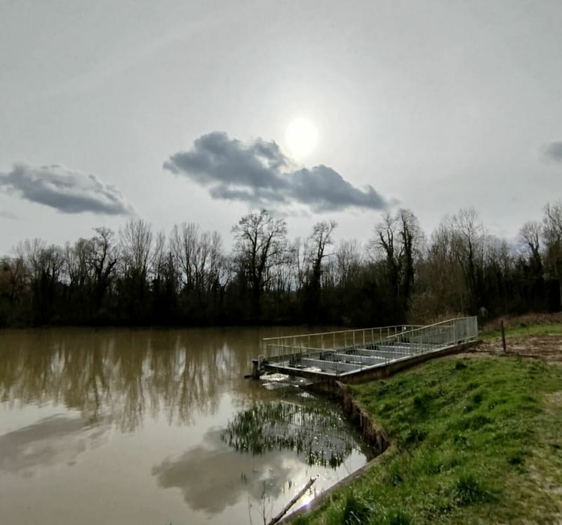 De Chalifert à l'Etang de la Loy - Chalifert