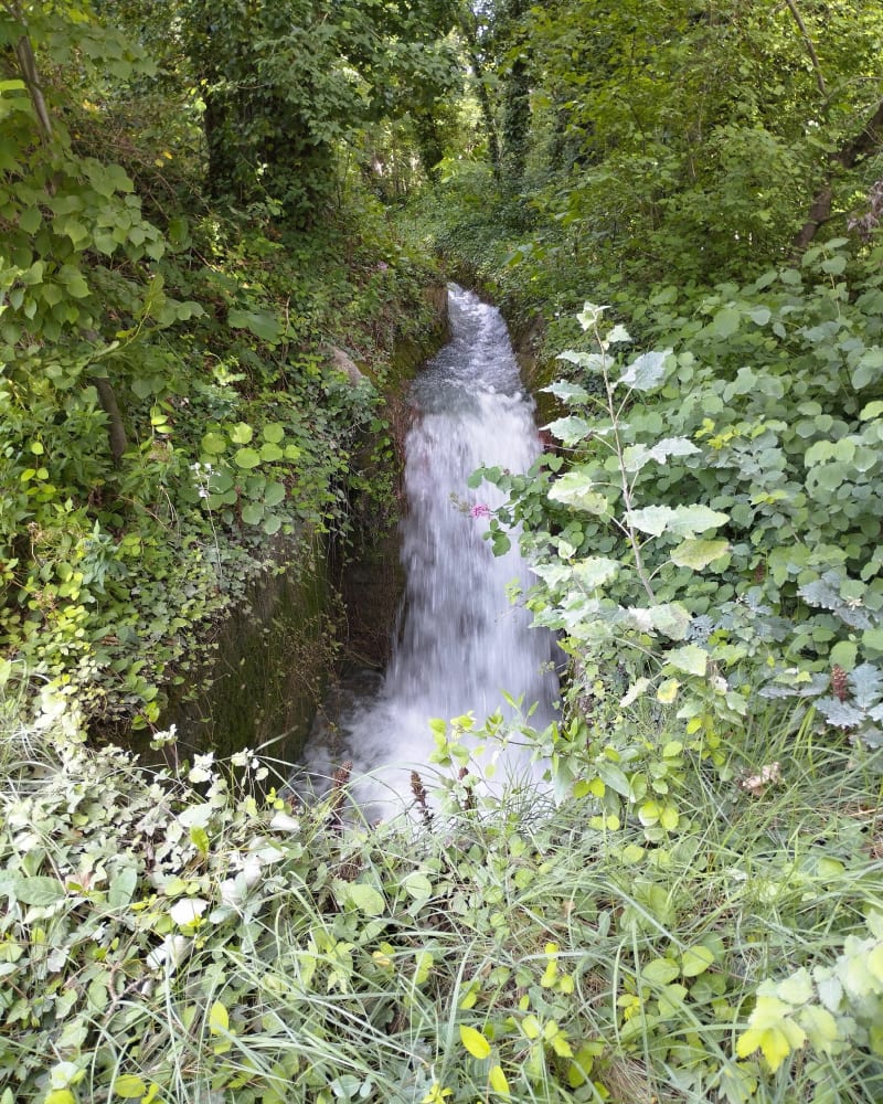 Canal de Carpentras autour de Sarrians - Sarrians