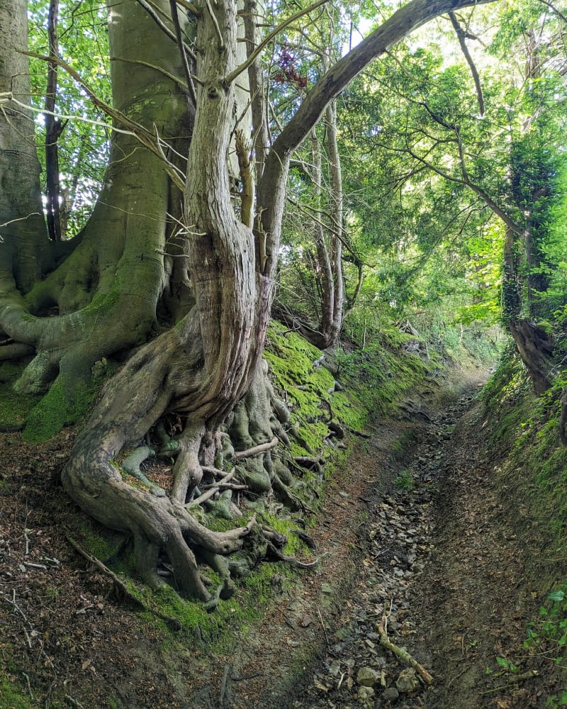 Dans la campagne entre Manerbe et Formentin - Manerbe
