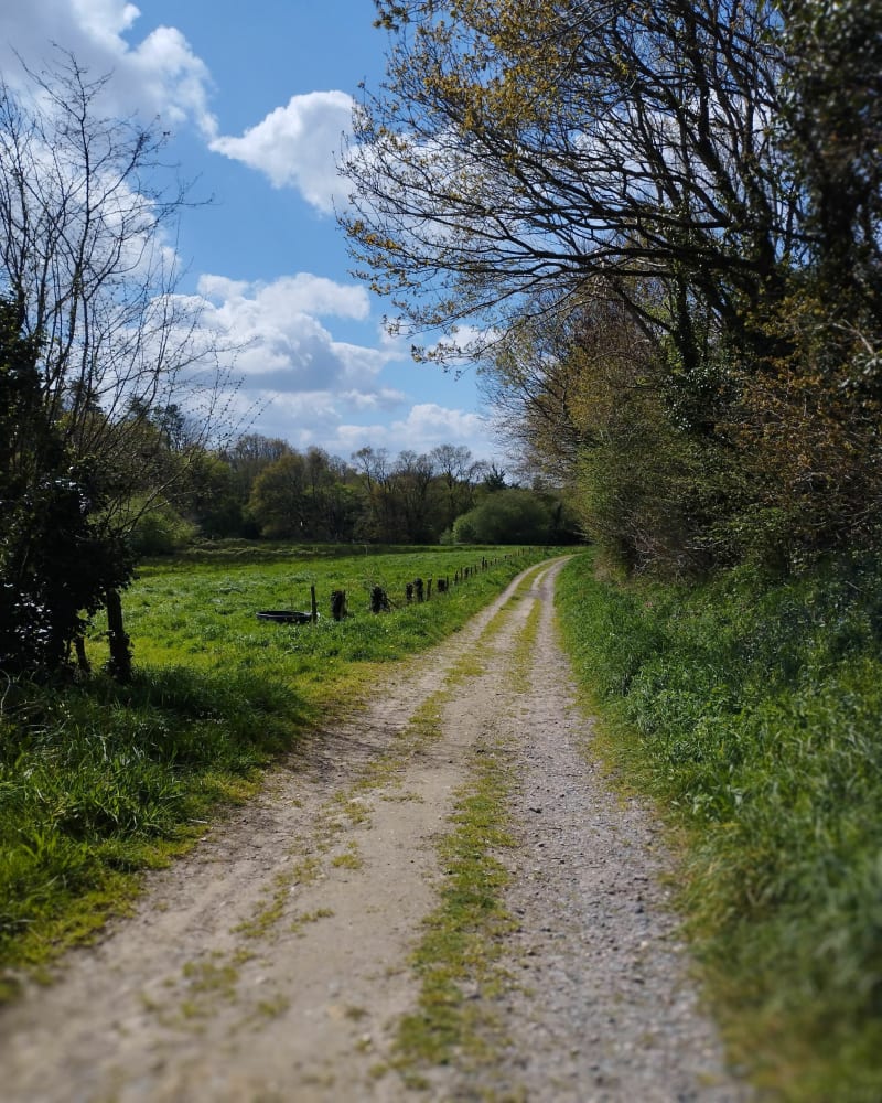 Balade en forêt autour de Saint-Thégonnec - Saint-Thégonnec Loc-Eguiner