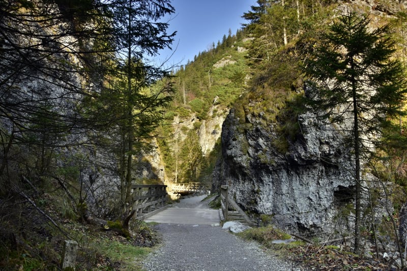 Dolina Eliaszówki – spokojna wędrówka przez Park Krajobrazowy Dolinki Krakowskie - Czerna
