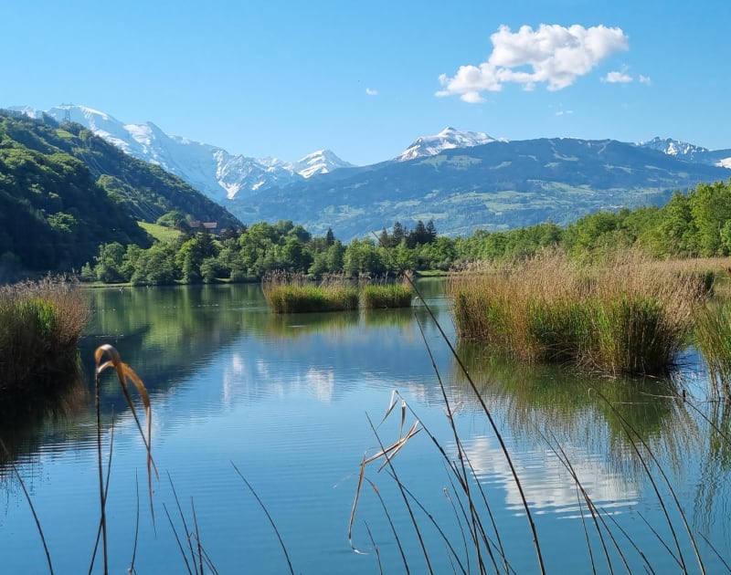 Tour aux lacs des Ilettes - Marnaz