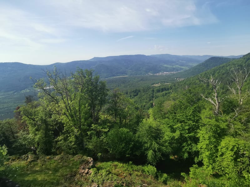 Château de Frankenbourg et Rocher du Coucou - La Vancelle