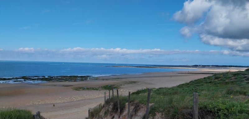 Plages du Treuil et de Vertbois puis forêt - Dolus-d'Oléron