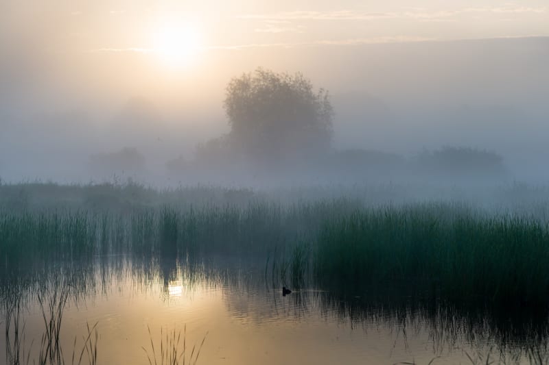 Jezioro Czerniańskie – natura i spokój w sercu Beskidu Śląskiego - Wisła