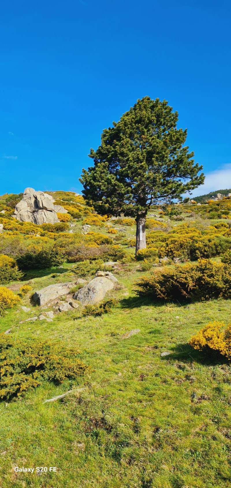 Balade jusqu'à la Cim dels Cums - Prats-de-Mollo-la-Preste