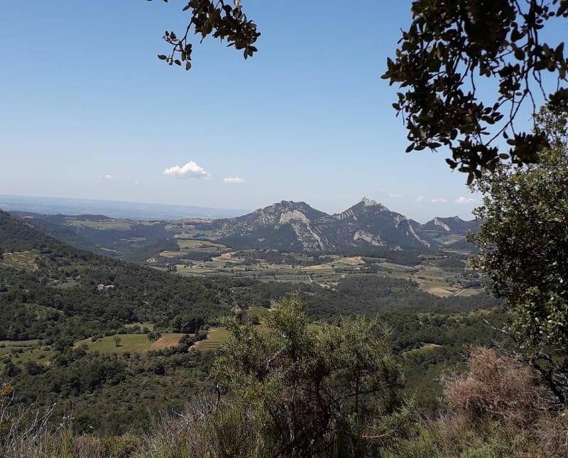 Les crêtes du Barroux - Le Barroux