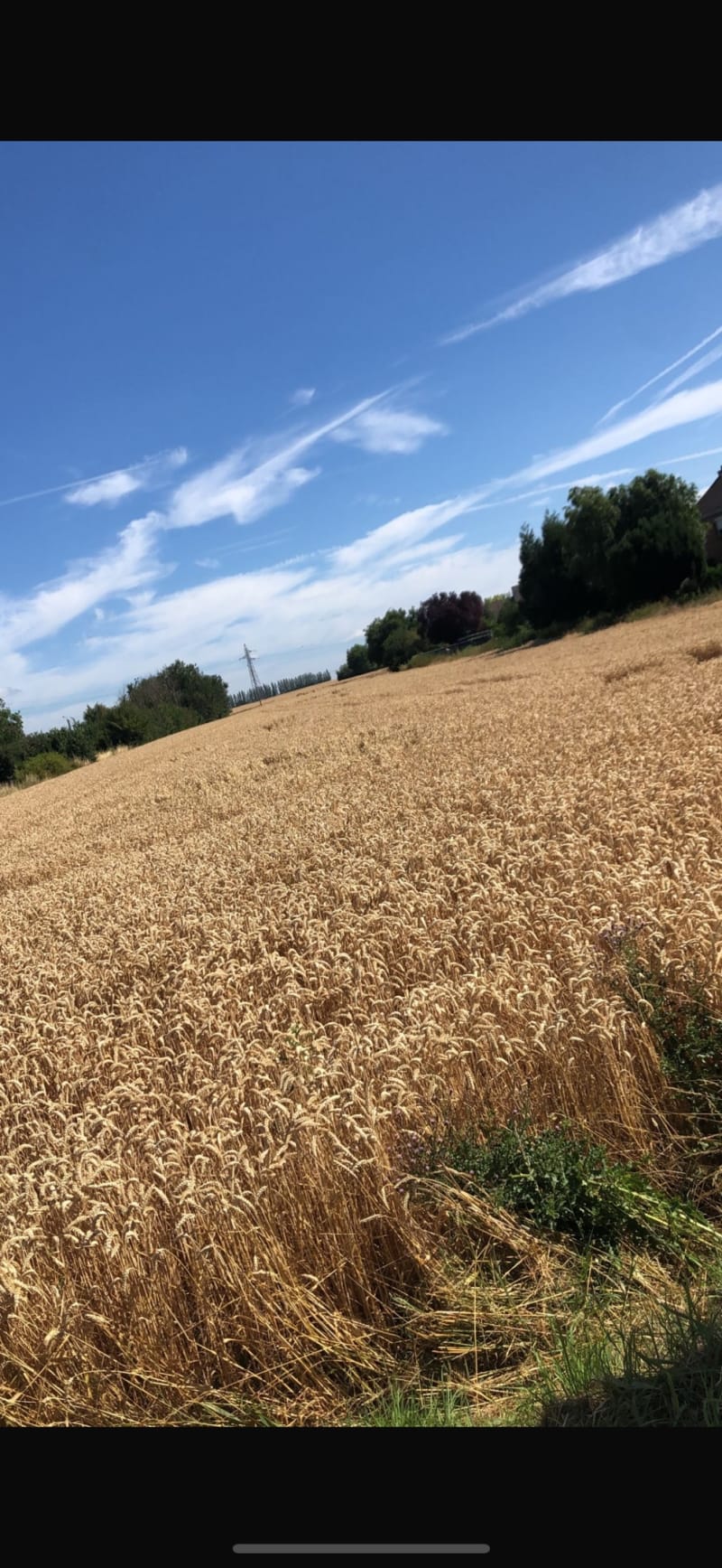 Entre ville et campagne à Wattignies - Wattignies