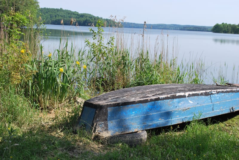 Jezioro Chechelskie – wybierz się na rekreacyjny spacer - Chrzanów