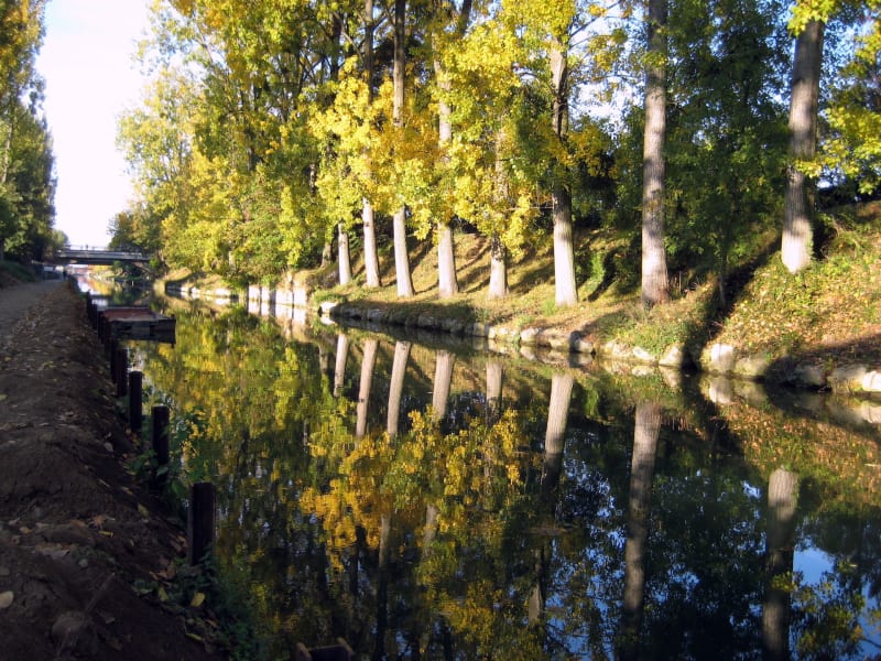 Balade le long du canal depuis Plessé - Plesse