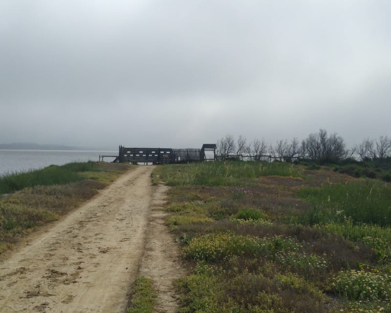 Au bout c'est l'étang de Saint Nazaire - Perpignan