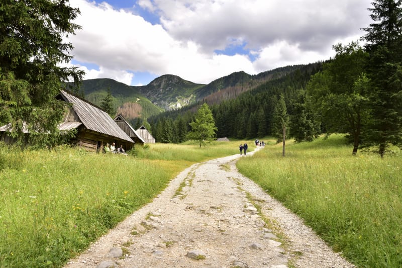 Dolina Jaworzynki – urok tatrzańskiej natury - Zakopane