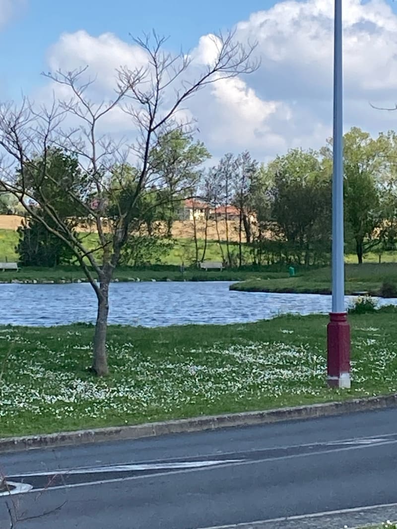 Petite balade en famille Sabinienne - Savigneux