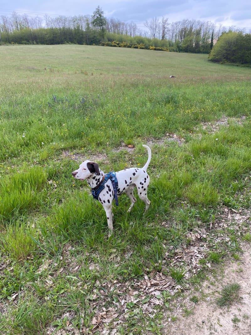 Balade aux alentours de Charantonnay - Charantonnay