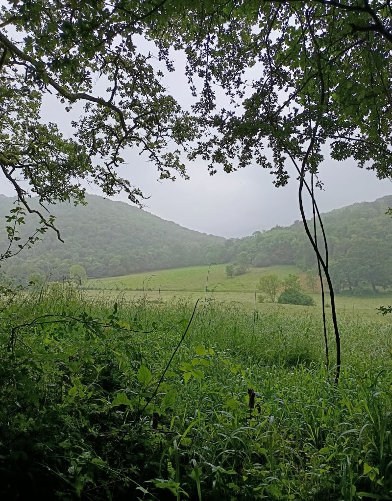 Col d'Auach depuis Cier de rivière - Cier-de-Rivière