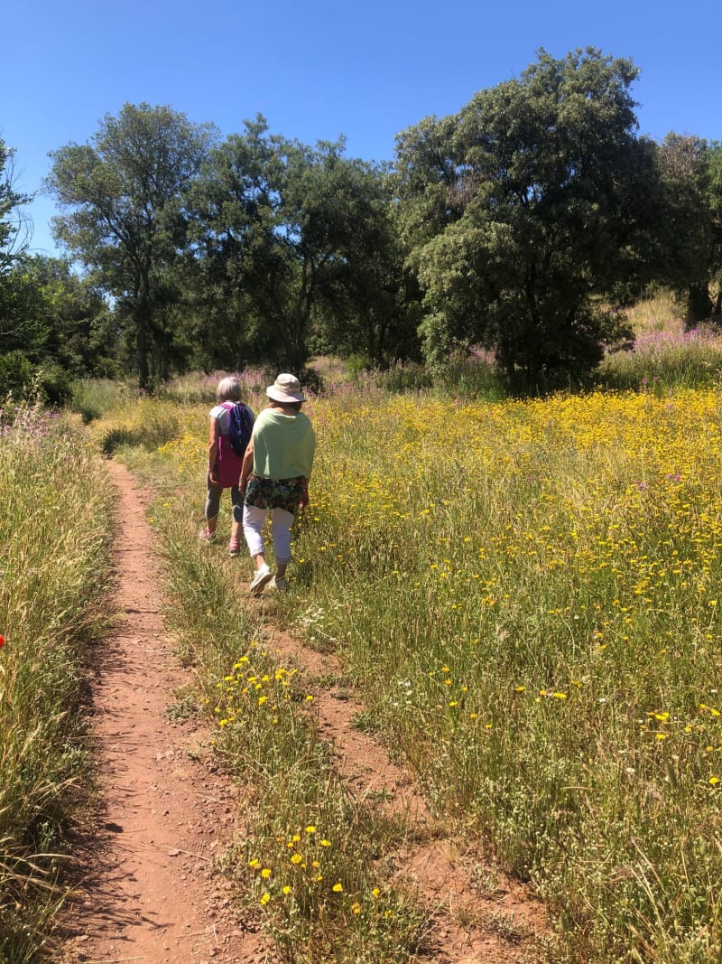 Sur le chemin de Compostelle autour de Nasbinals - Prinsuéjols-Malbouzon