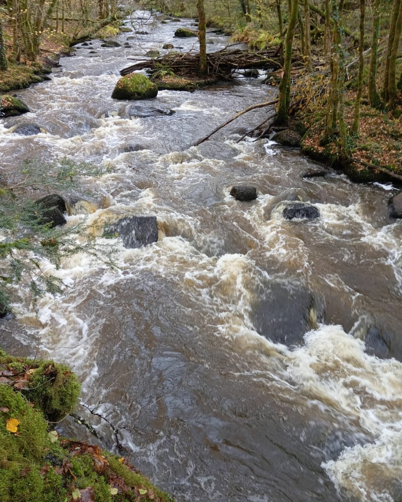Boucle de la Dronne et du Saut du Chalard - Champs-Romain