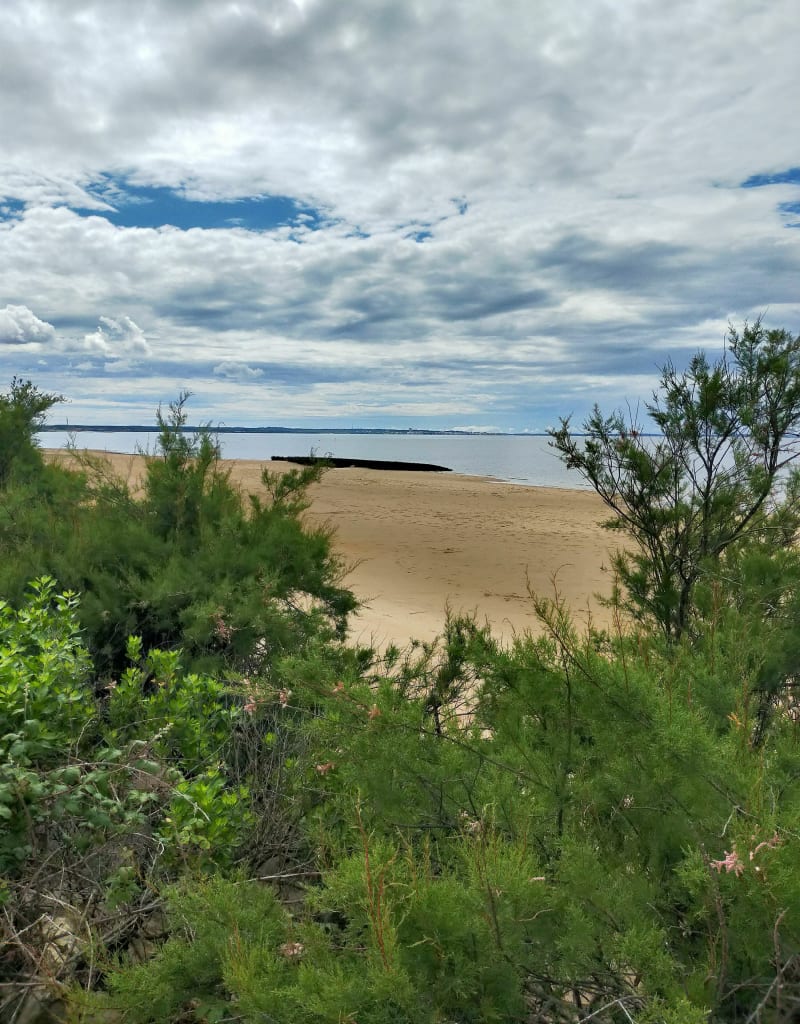 Réserve ornithologique du Teich - Le Teich