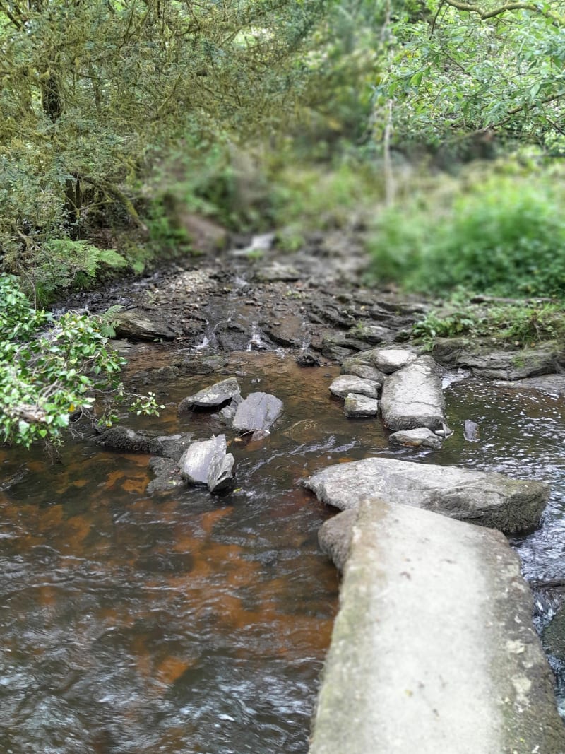 Périple dans la vallée du Tromorgant - Plougonven