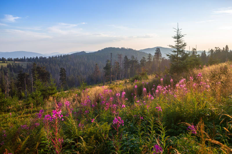 Kuźnice-Kasprowy Wierch, czyli gdzie góry dotykają nieba - Zakopane