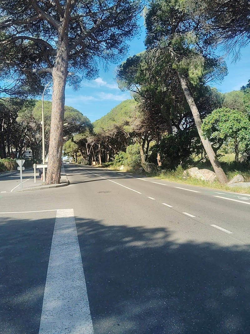 Marche à Hyères - Hyères