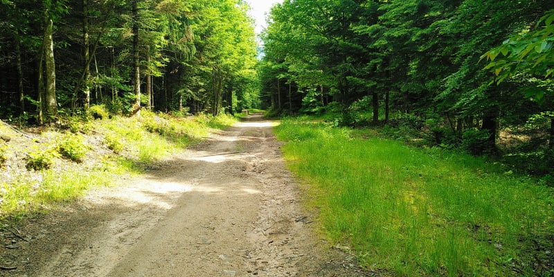 Boucle sur les hauteurs de Munster - Munster
