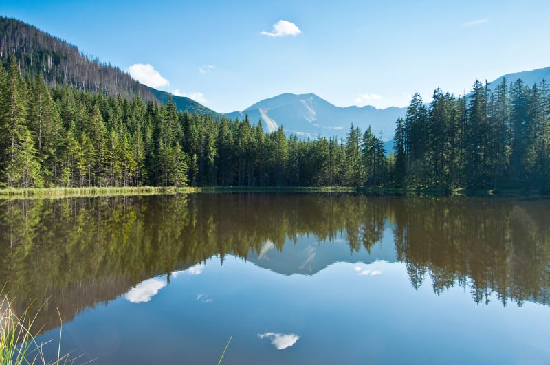 Staw Smreczyński – wyjątkowe miejsce w Tatrach Zachodnich - Zakopane