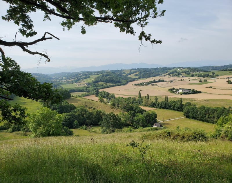 Monein la Pierre blanche et les coteaux de jurançon - Monein