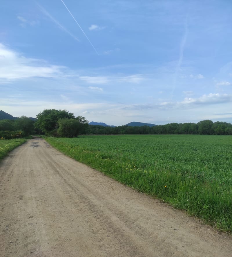 Balade autour du Puy Chopine et village de Beauregard. - Orcines