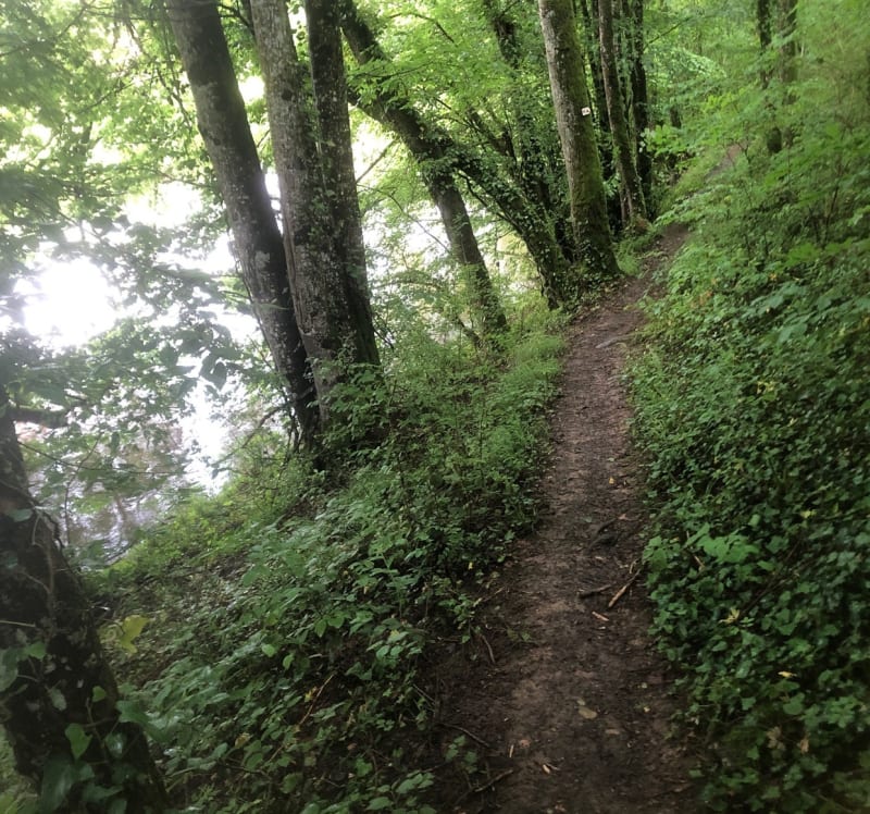 Entre Certilleux et Rebeuville - Certilleux