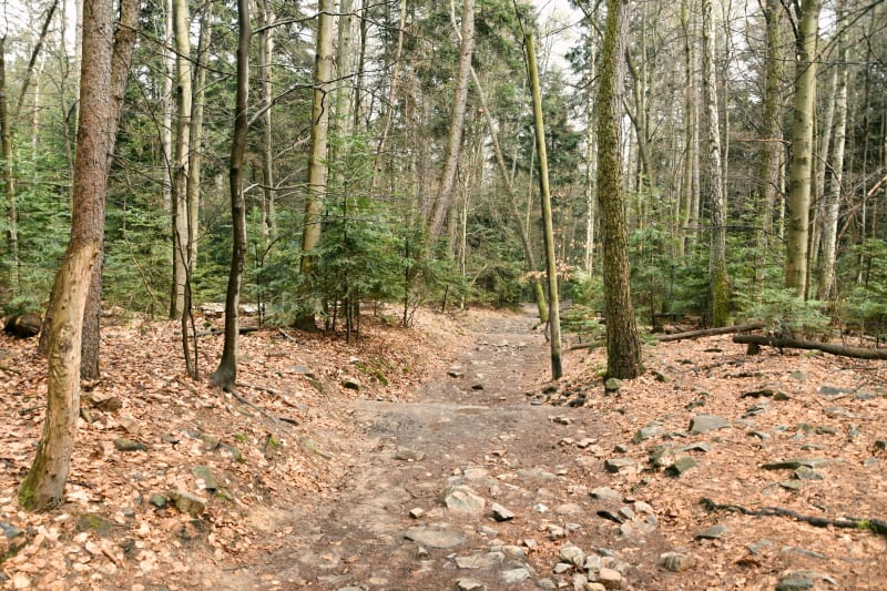 Sabat krajno park - Krajno-Zagórze