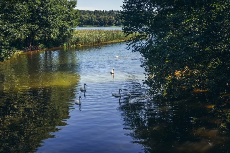 Wdzydzki Park Krajobrazowy – Odkryj kaszubską przyrodę i kuchnię - Wdzydze