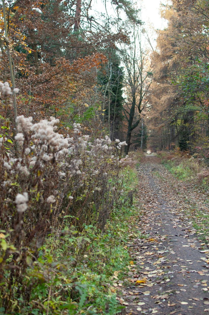 Góra Ojca z Sieraków - spacer dla ciała i ducha - Sieraków