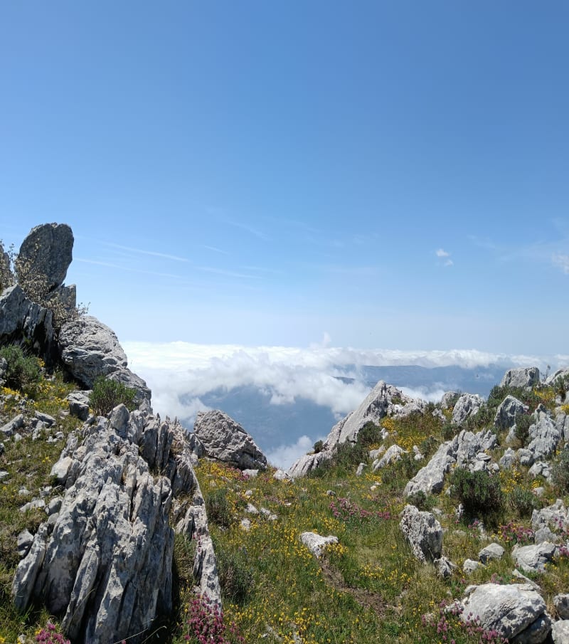 Montée à la Cime du Cheiron - Gréolières